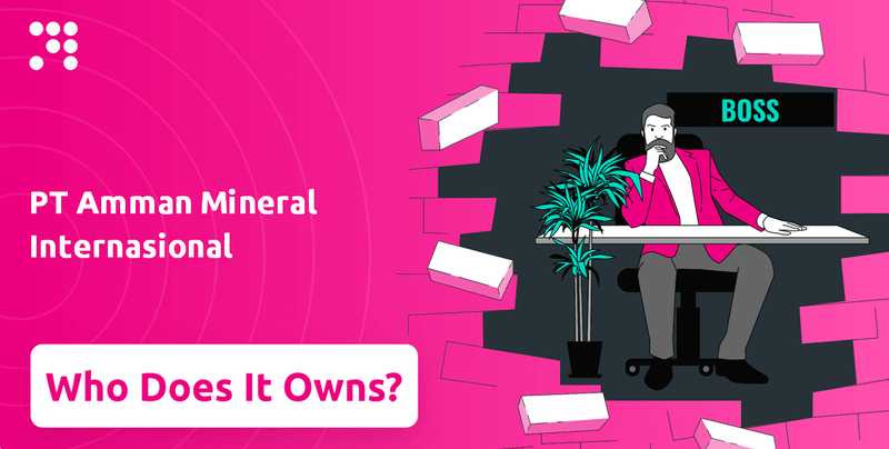 Who Owns PT Amman Mineral Internasional Company?