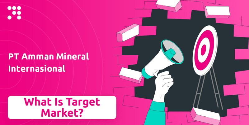 What is Customer Demographics and Target Market of PT Amman Mineral Internasional Company?