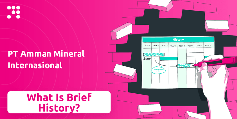 What is Brief History of PT Amman Mineral Internasional Company?