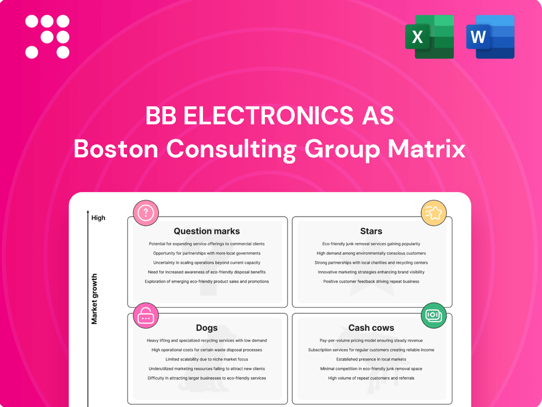 BB Electronics AS Boston Consulting Group Matrix