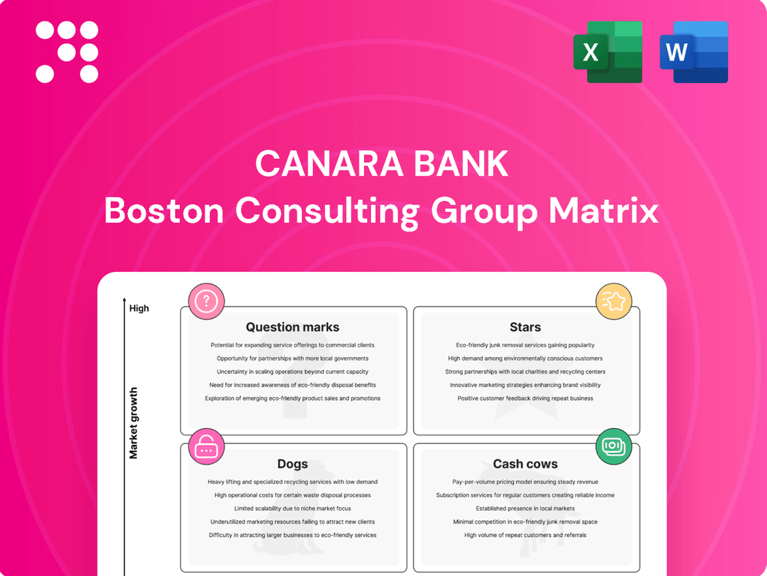 Canara Bank Boston Consulting Group Matrix