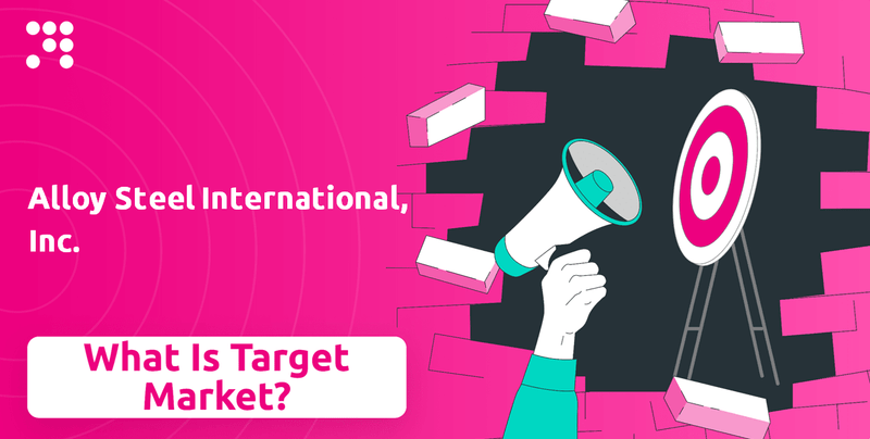 What is Customer Demographics and Target Market of Alloy Steel International, Inc. Company?