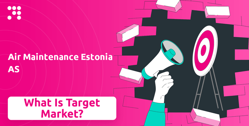 What is Customer Demographics and Target Market of Air Maintenance Estonia AS Company?