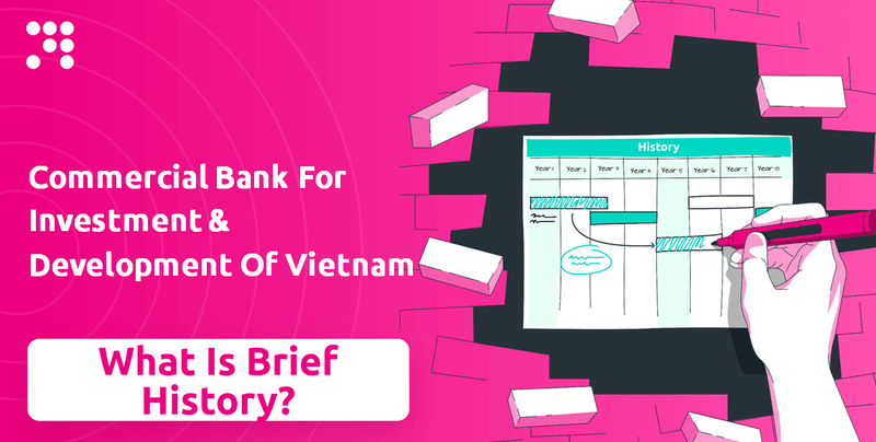 What is Brief History of Commercial Bank For Investment & Development Of Vietnam Company?
