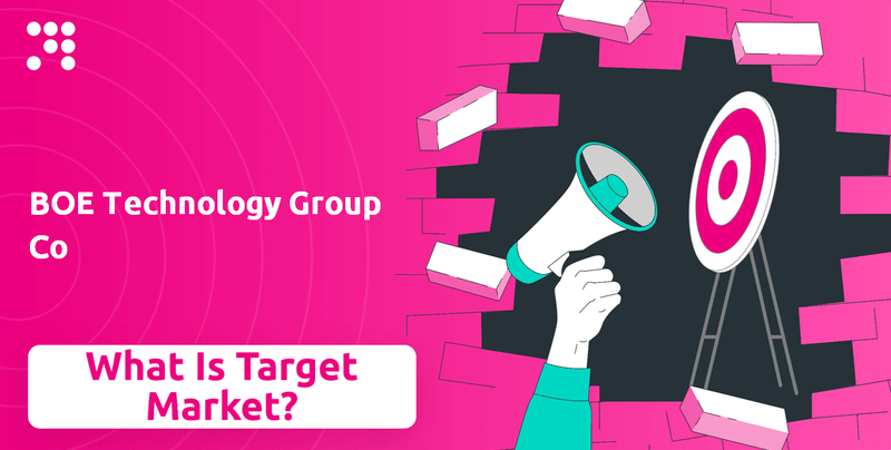 What is Customer Demographics and Target Market of BOE Technology Group Co Company?