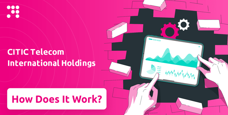 How Does CITIC Telecom International Holdings Company Work?