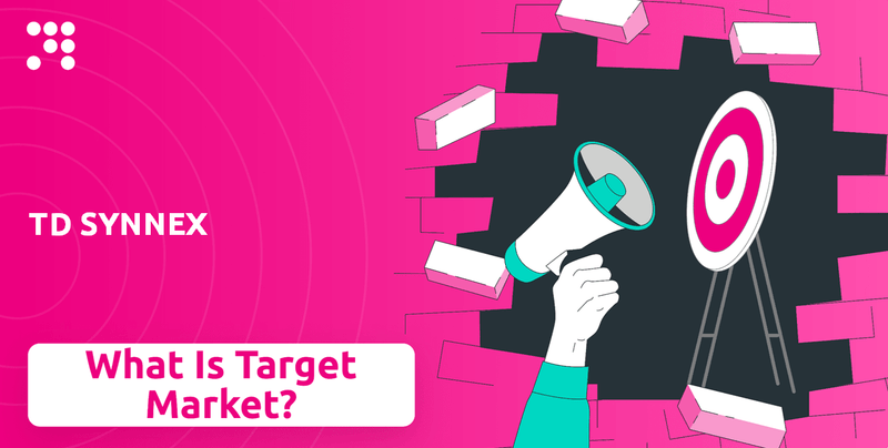 What is Customer Demographics and Target Market of TD SYNNEX Company?