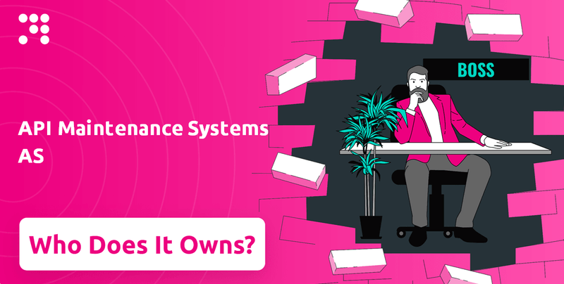 Who Owns API Maintenance Systems AS Company?