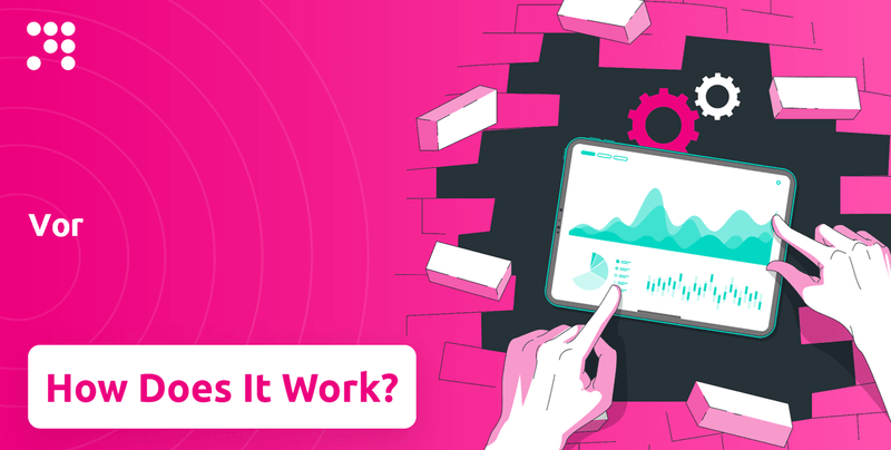 How Does Vor Company Work?