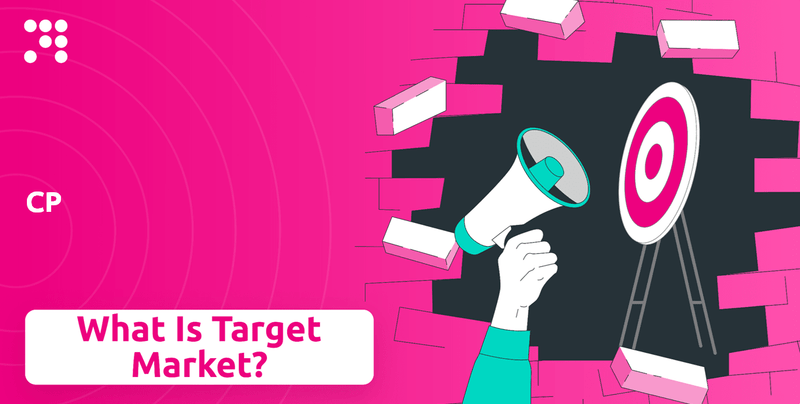 What is Customer Demographics and Target Market of CP Company?