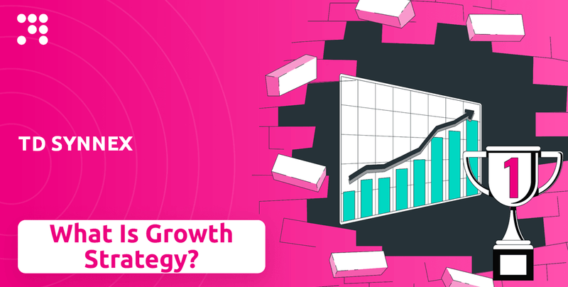 What is Growth Strategy and Future Prospects of TD SYNNEX Company?