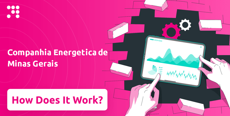 How Does Companhia Energetica de Minas Gerais Company Work?