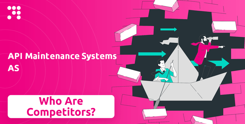 What is Competitive Landscape of API Maintenance Systems AS Company?