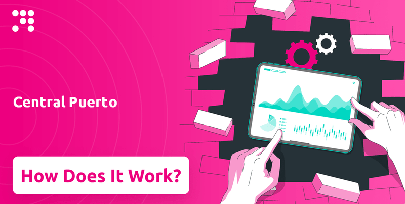 How Does Central Puerto Company Work?