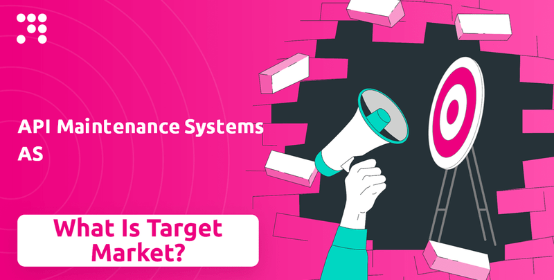 What is Customer Demographics and Target Market of API Maintenance Systems AS Company?