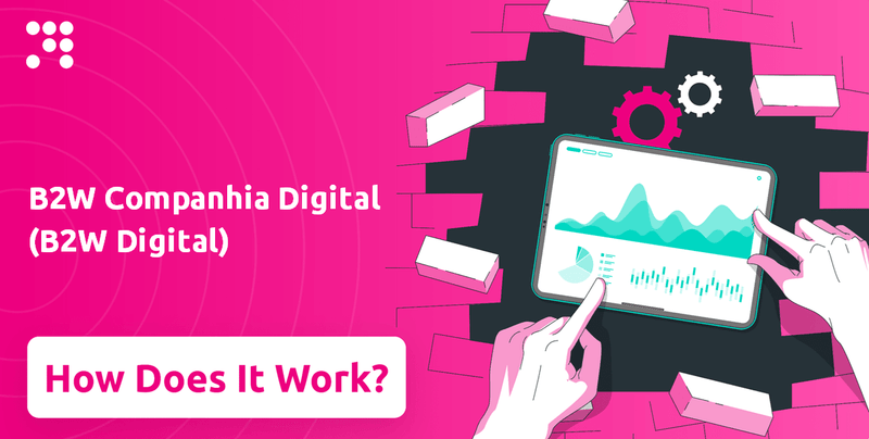 How Does B2W Companhia Digital (B2W Digital) Company Work?