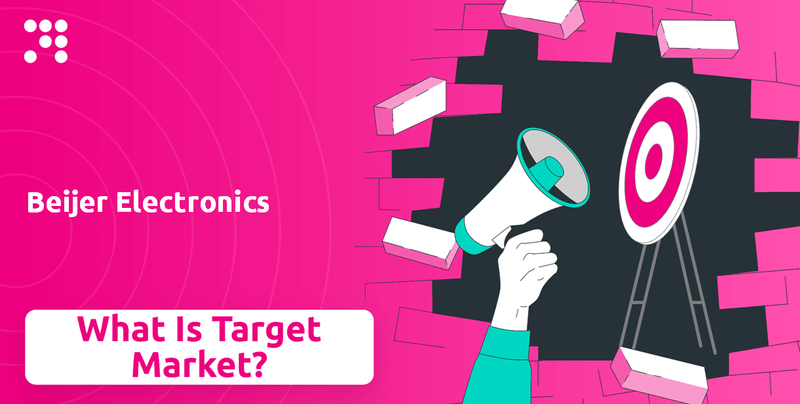 What is Customer Demographics and Target Market of Beijer Electronics Company?