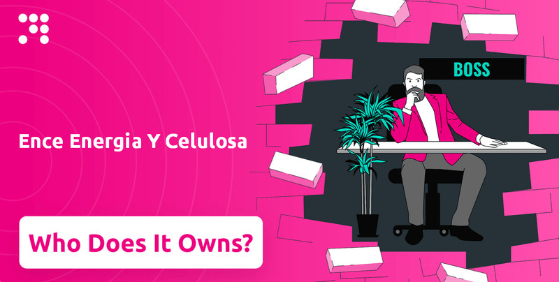 Who Owns Ence Energia Y Celulosa Company?