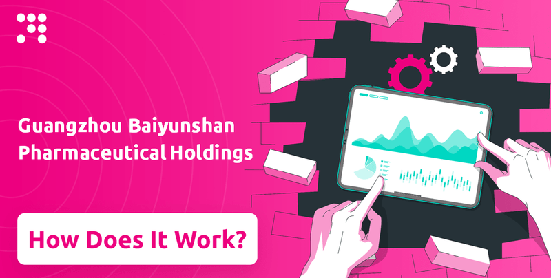 How Does Guangzhou Baiyunshan Pharmaceutical Holdings Company Work?