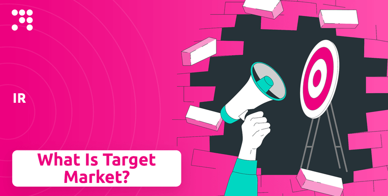 What is Customer Demographics and Target Market of IR Company?