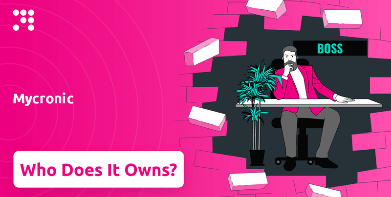Who Owns Mycronic Company?