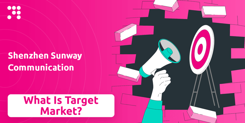 What is Customer Demographics and Target Market of Shenzhen Sunway Communication Company?