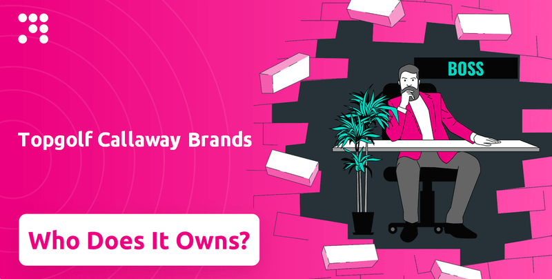 Who Owns Topgolf Callaway Brands Company?