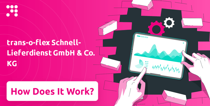 How Does trans-o-flex Schnell-Lieferdienst GmbH & Co. KG Company Work?