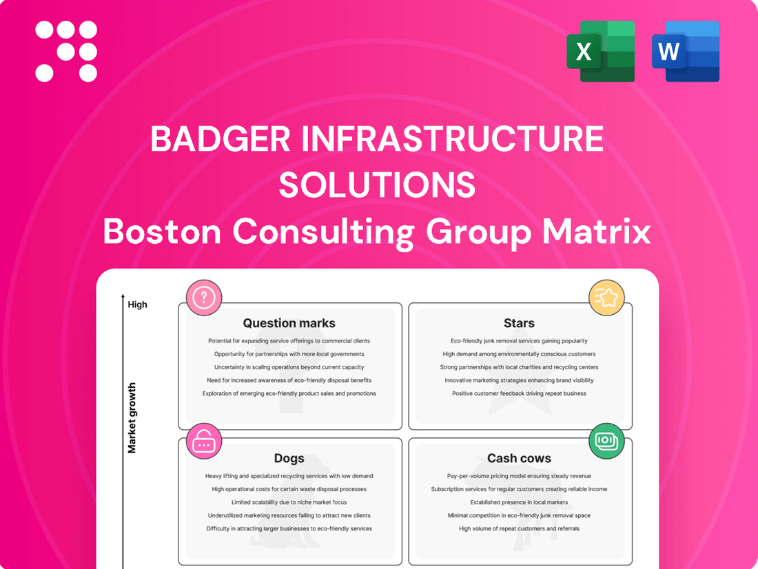 Badger Infrastructure Solutions Boston Consulting Group Matrix