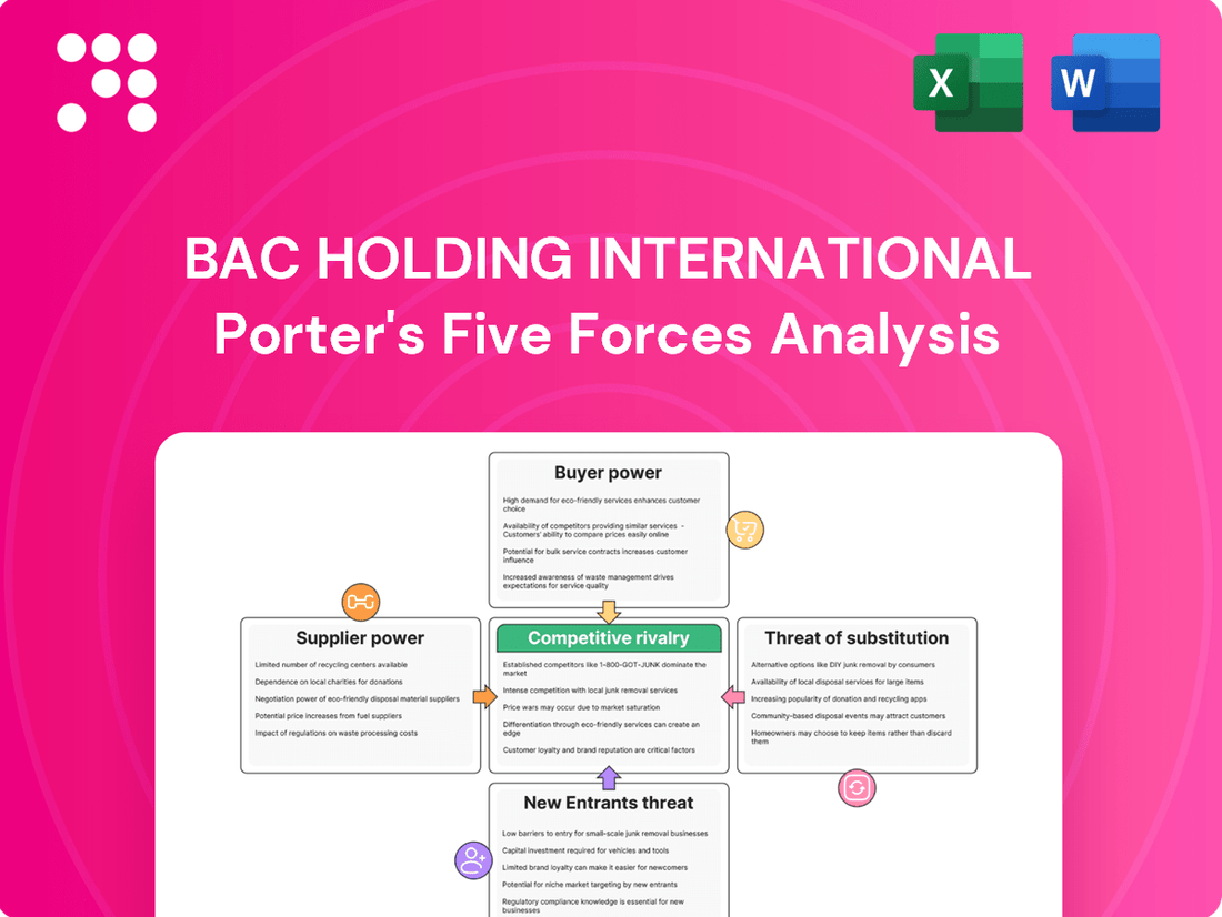 BAC Holding International Porter's Five Forces Analysis
