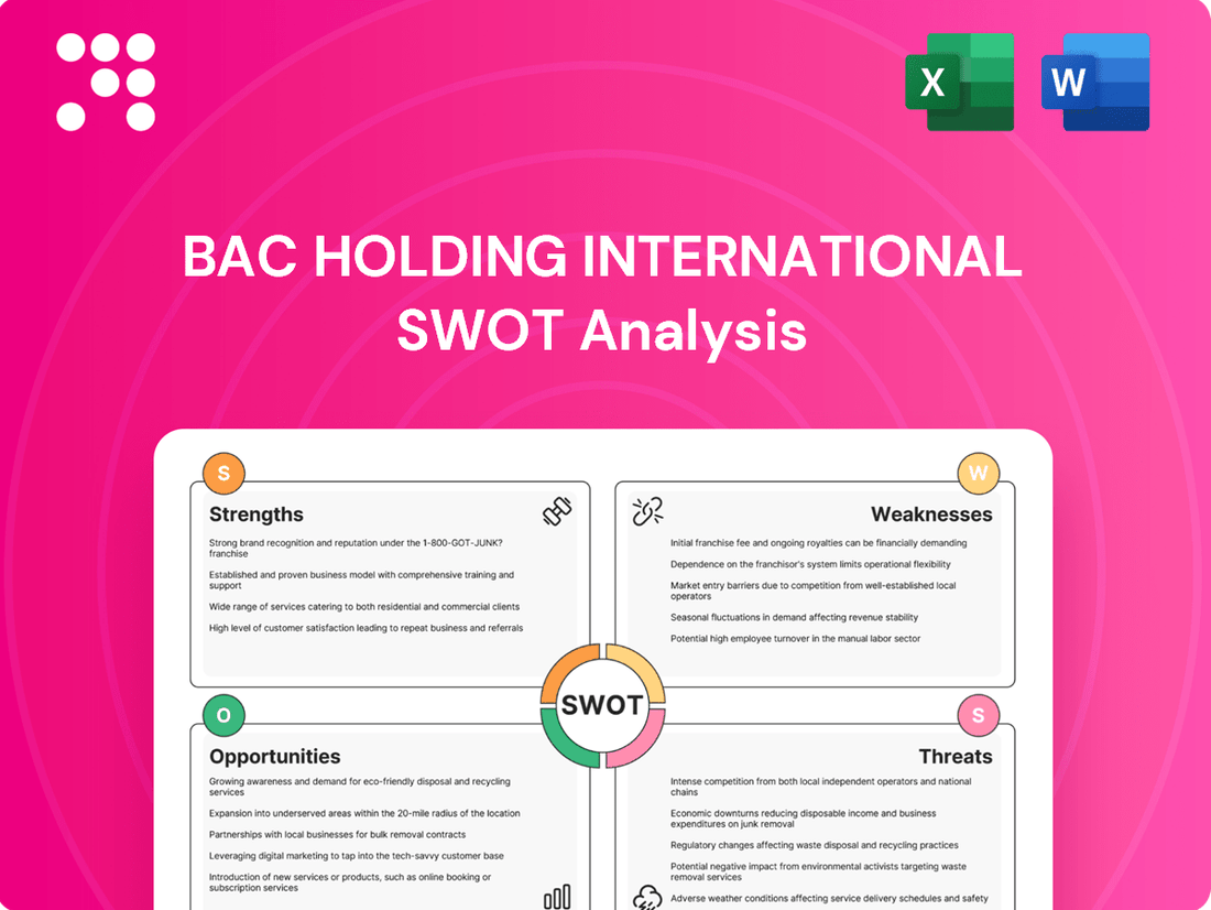 BAC Holding International SWOT Analysis