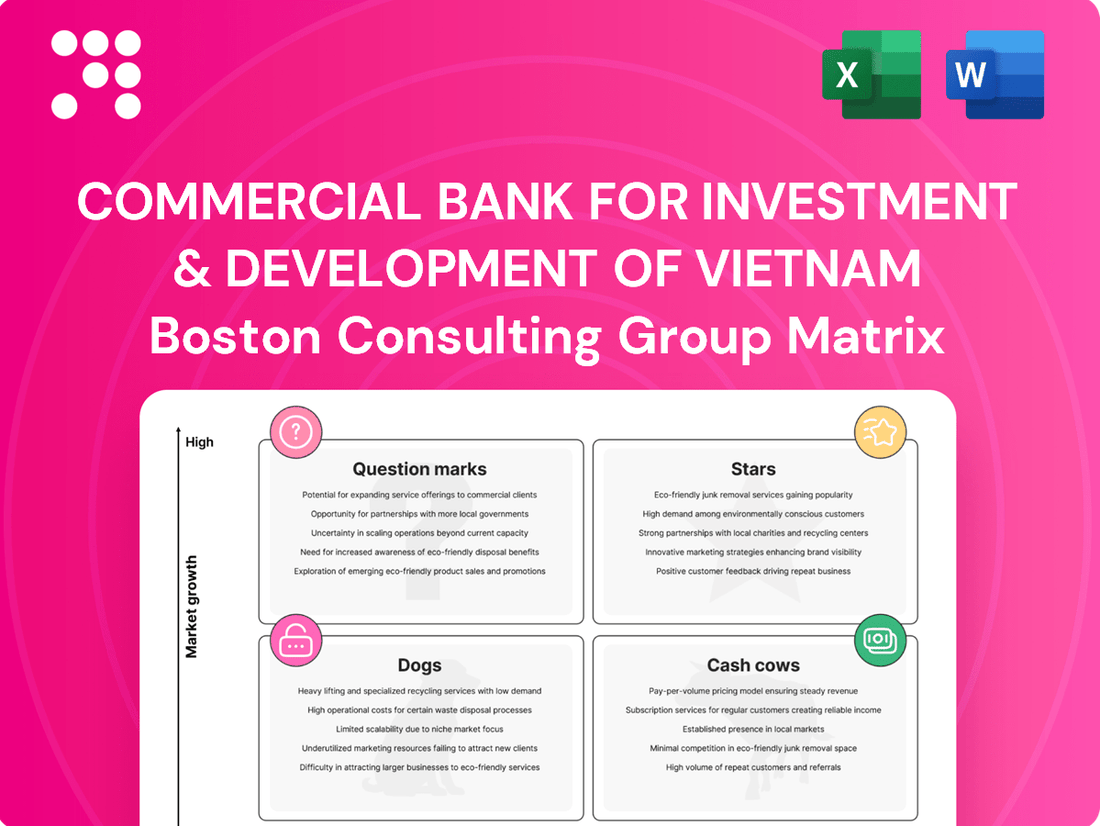 Commercial Bank For Investment & Development Of Vietnam Boston Consulting Group Matrix