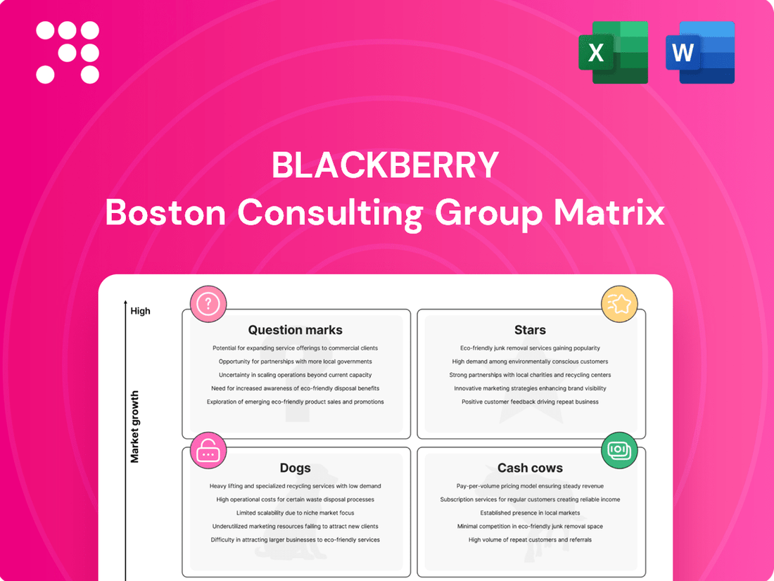 BlackBerry Boston Consulting Group Matrix