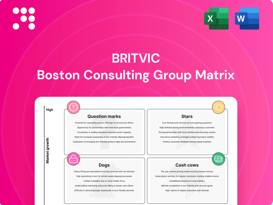 Britvic Boston Consulting Group Matrix