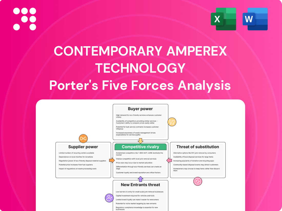 Contemporary Amperex Technology Porter's Five Forces Analysis