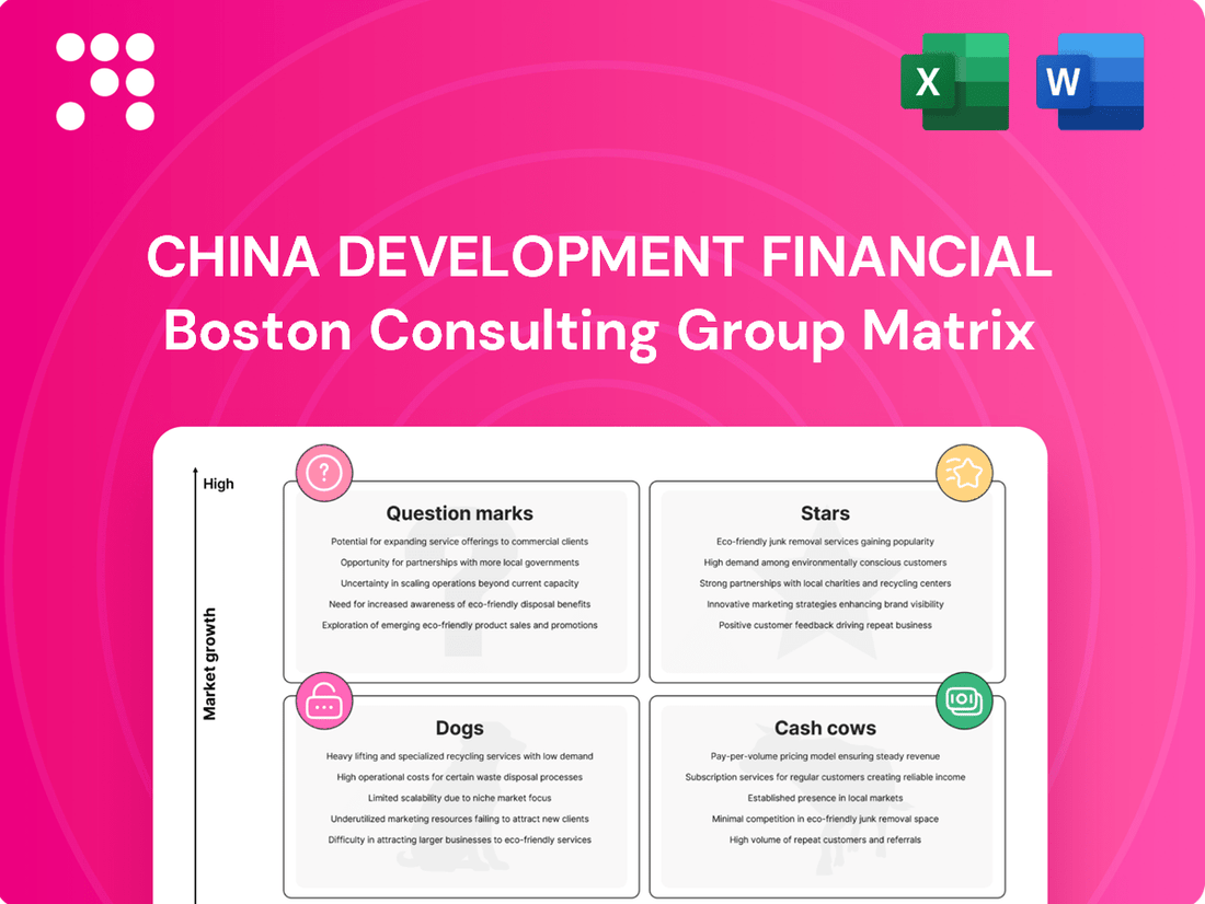 China Development Financial Boston Consulting Group Matrix