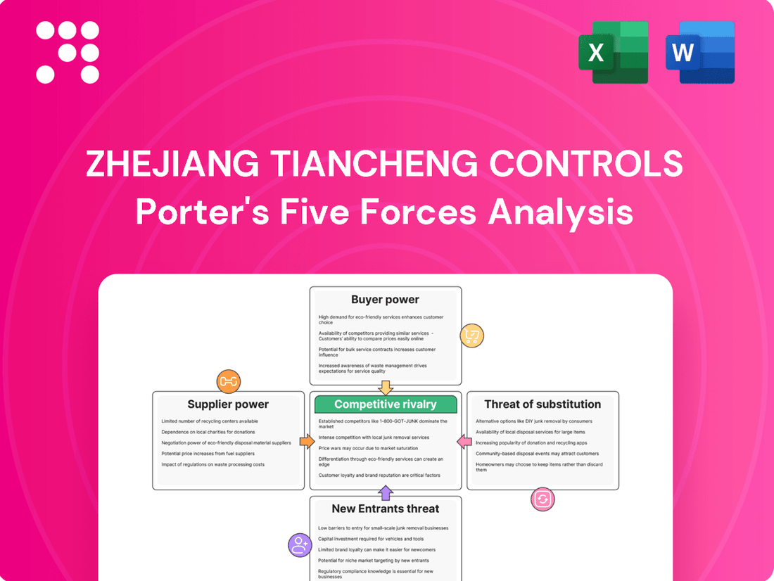 Zhejiang Tiancheng Controls Porter's Five Forces Analysis