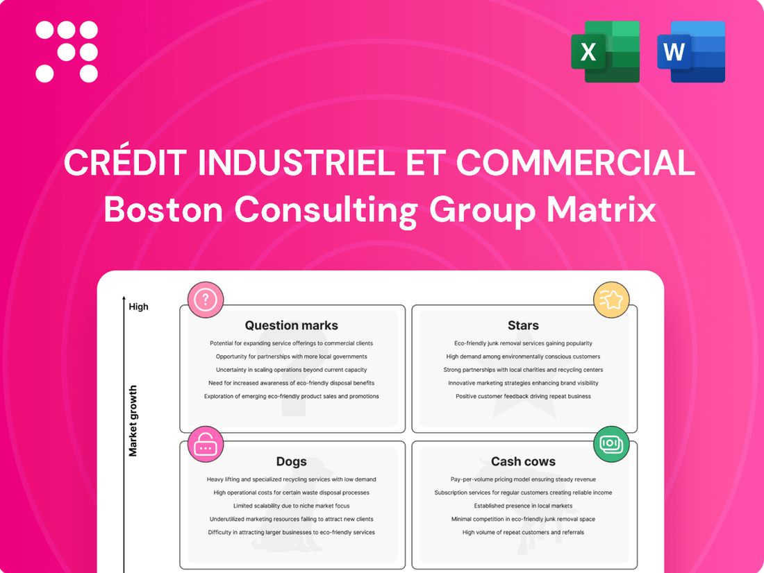 Crédit Industriel et Commercial Boston Consulting Group Matrix