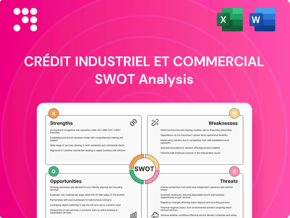 Crédit Industriel et Commercial SWOT Analysis