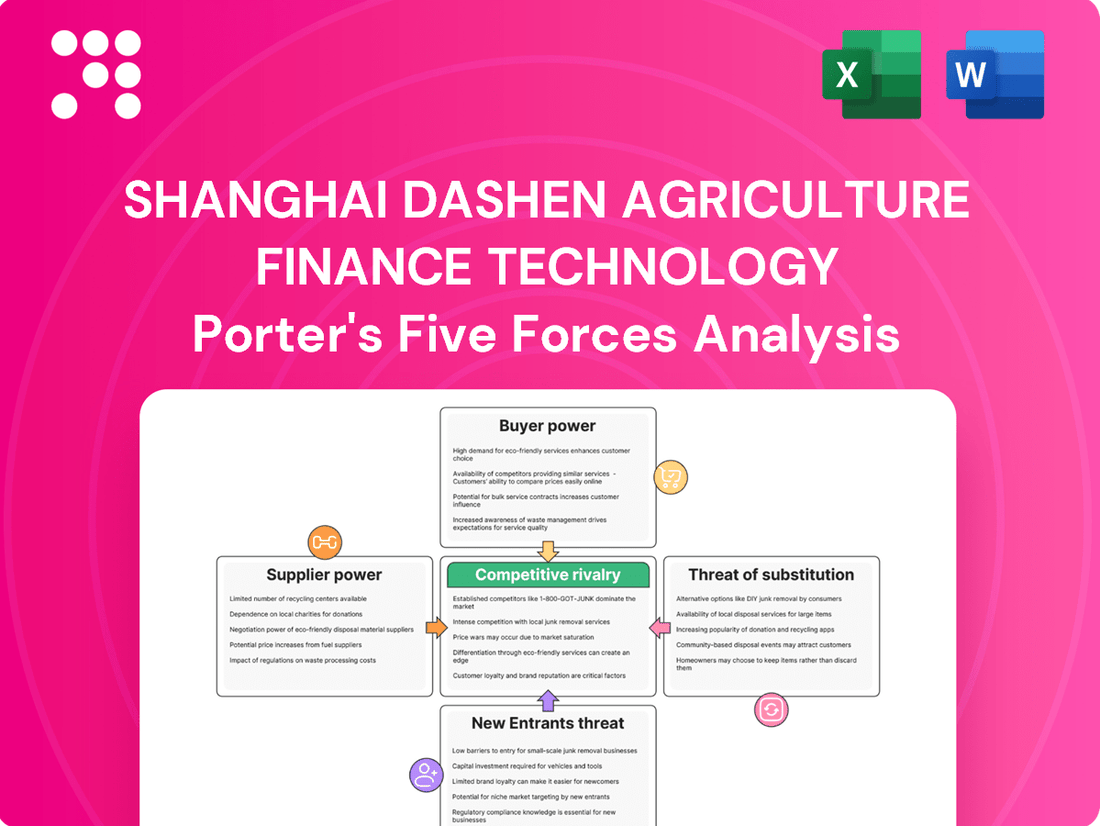 Shanghai Dashen Agriculture Finance Technology Porter's Five Forces Analysis