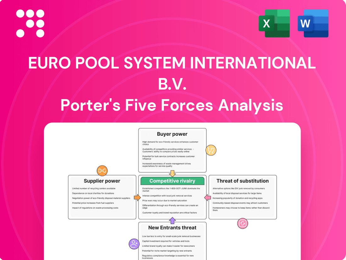 Euro Pool System International B.V. Porter's Five Forces Analysis