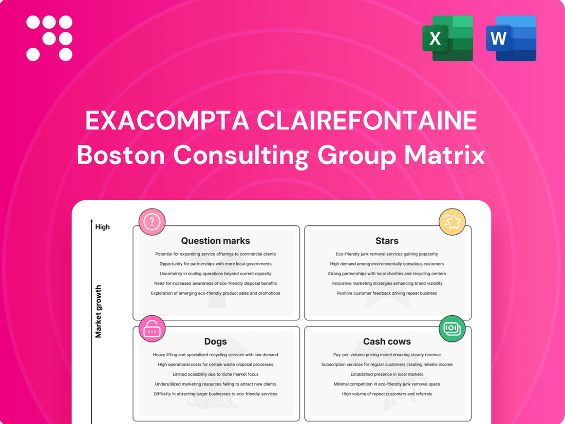 Exacompta Clairefontaine Boston Consulting Group Matrix