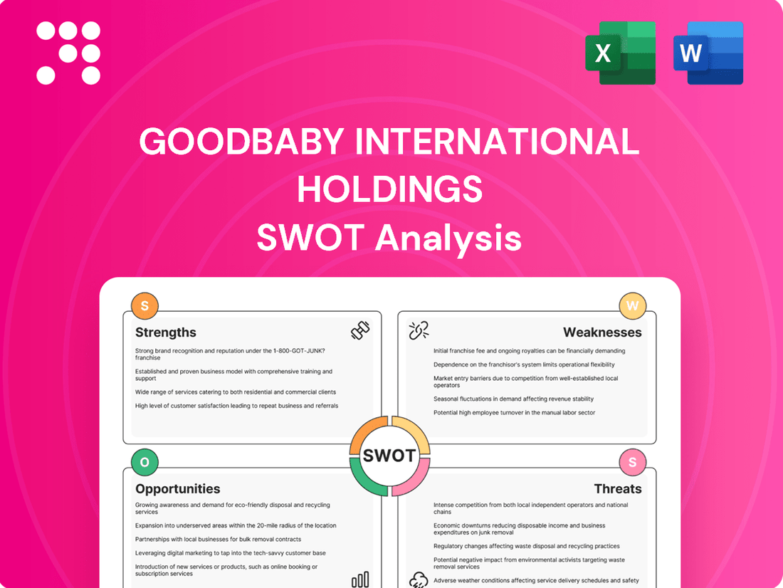 Goodbaby International Holdings SWOT Analysis