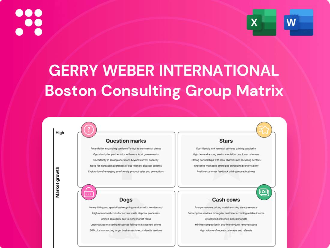 GERRY WEBER International Boston Consulting Group Matrix