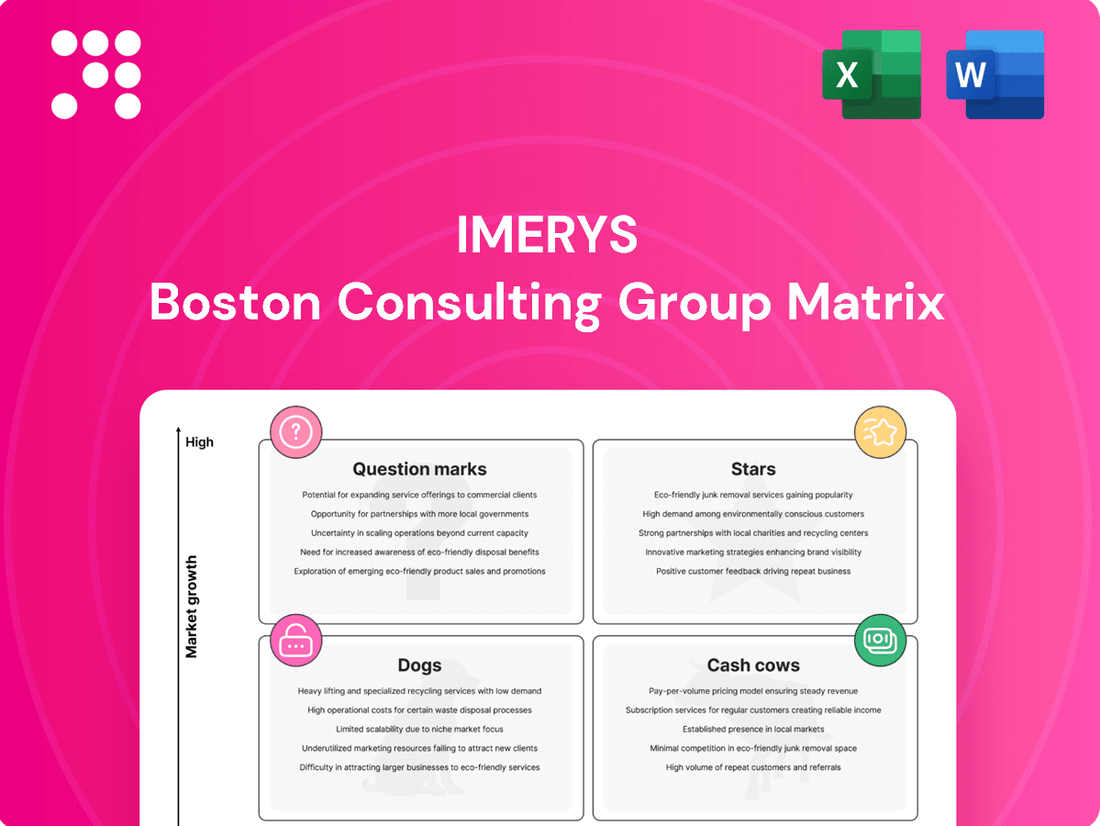 Imerys Boston Consulting Group Matrix