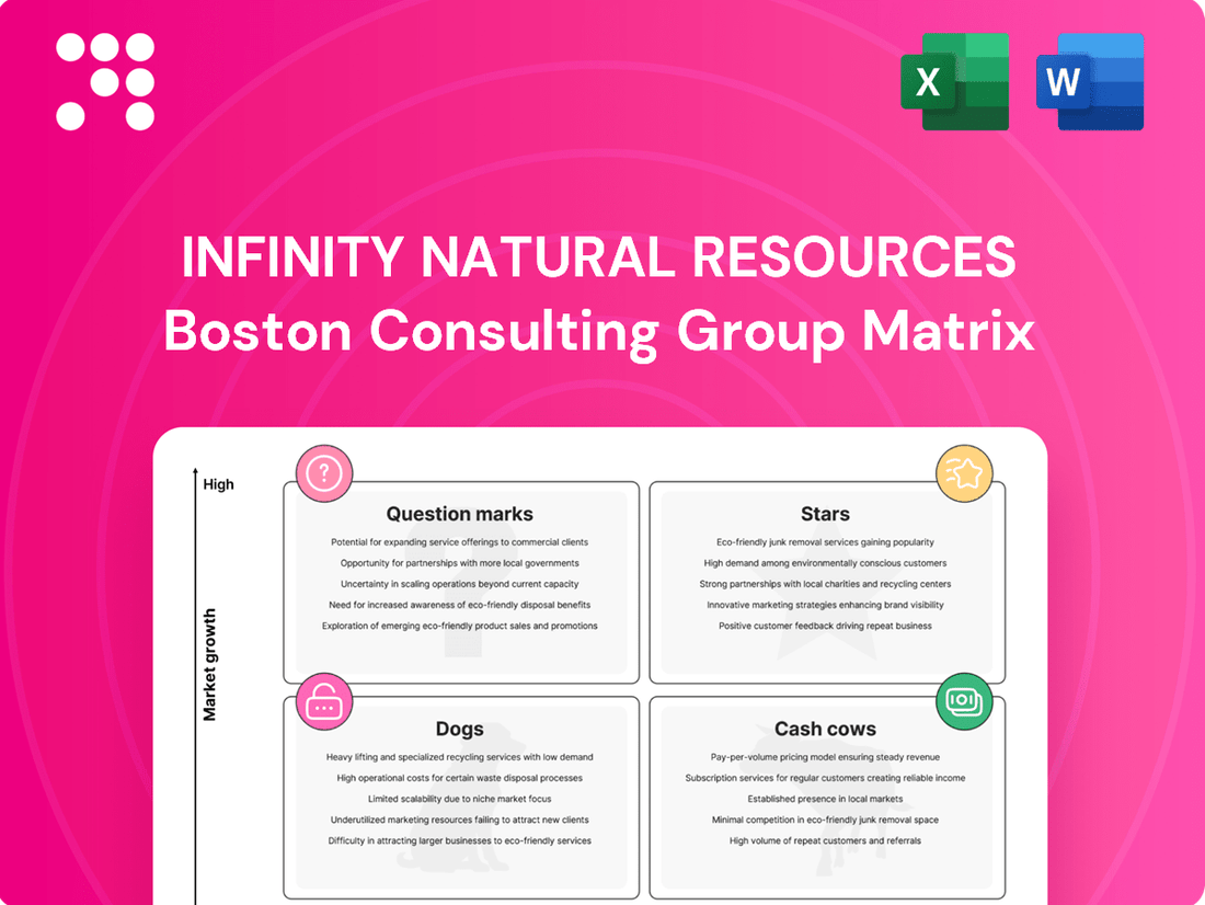 Infinity Natural Resources Boston Consulting Group Matrix