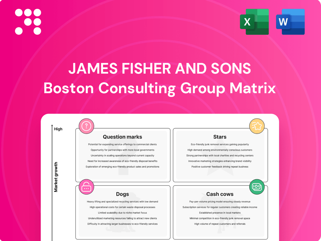James Fisher and Sons Boston Consulting Group Matrix
