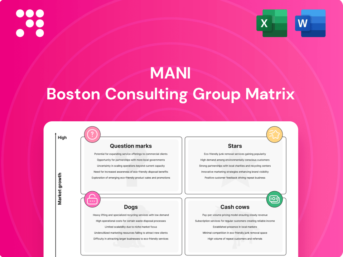 Mani Boston Consulting Group Matrix