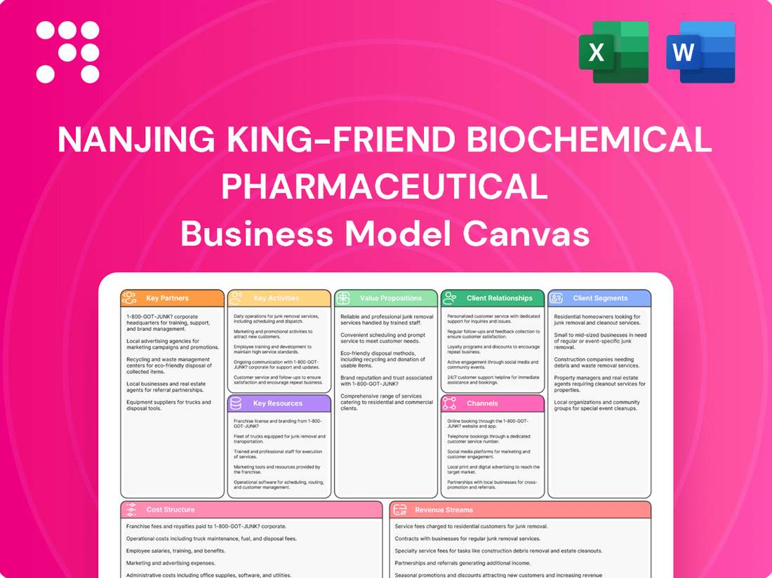 Nanjing King-Friend Biochemical Pharmaceutical Business Model Canvas