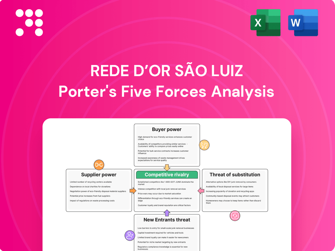 Rede D’Or São Luiz Porter's Five Forces Analysis